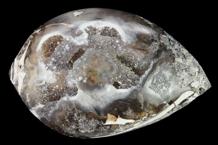 Chalcedony Replaced Gastropod With Sparkly Quartz - India #165156